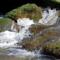 Lessons From a Mountain Stream